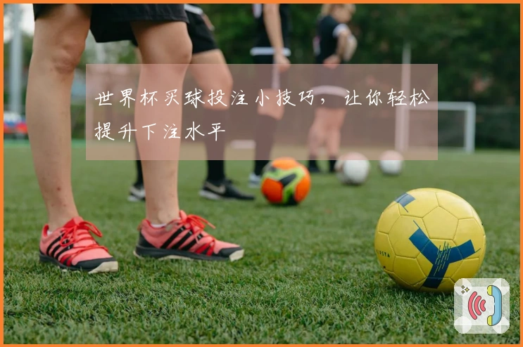 世界杯买球投注小技巧，让你轻松提升下注水平