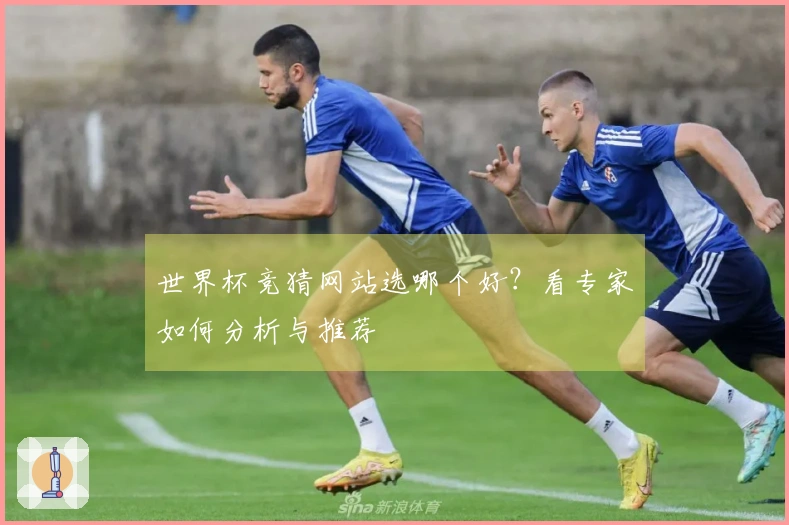 世界杯竞猜网站选哪个好？看专家如何分析与推荐