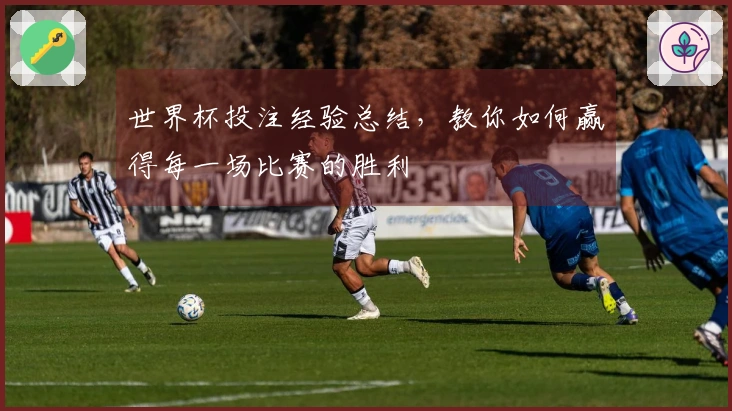 世界杯投注经验总结，教你如何赢得每一场比赛的胜利