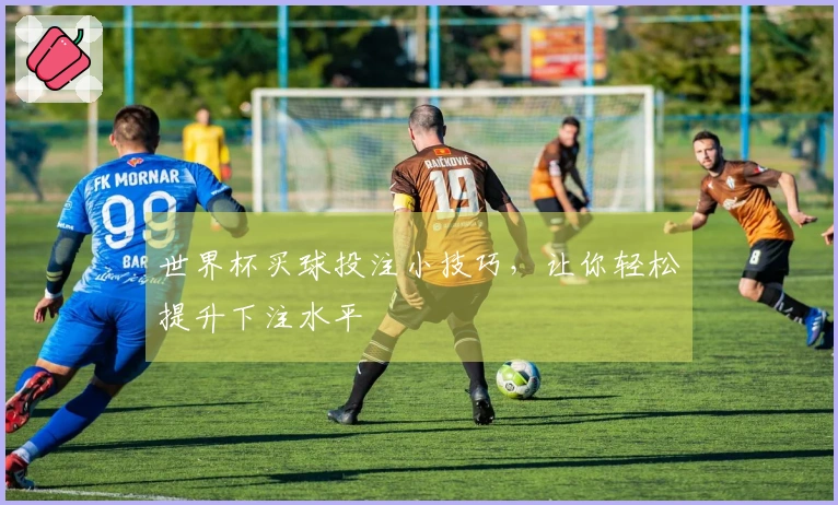 世界杯买球投注小技巧，让你轻松提升下注水平