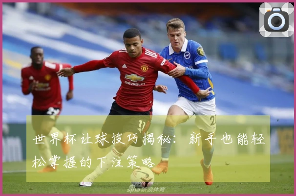 世界杯让球技巧揭秘：新手也能轻松掌握的下注策略