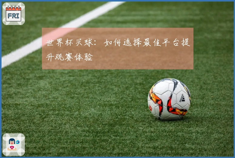 世界杯买球：如何选择最佳平台提升观赛体验