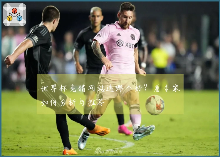世界杯竞猜网站选哪个好？看专家如何分析与推荐